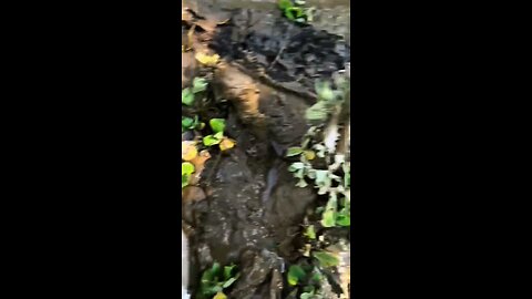 JACKPOT!!!!! #CHANNAAURANTILIAR #CHANNASTEWARTYLIAR