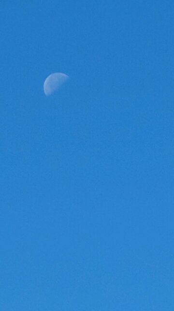 sunny and moon together