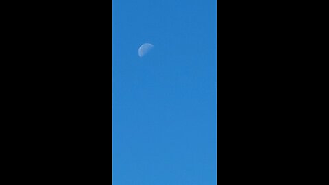 sunny and moon together