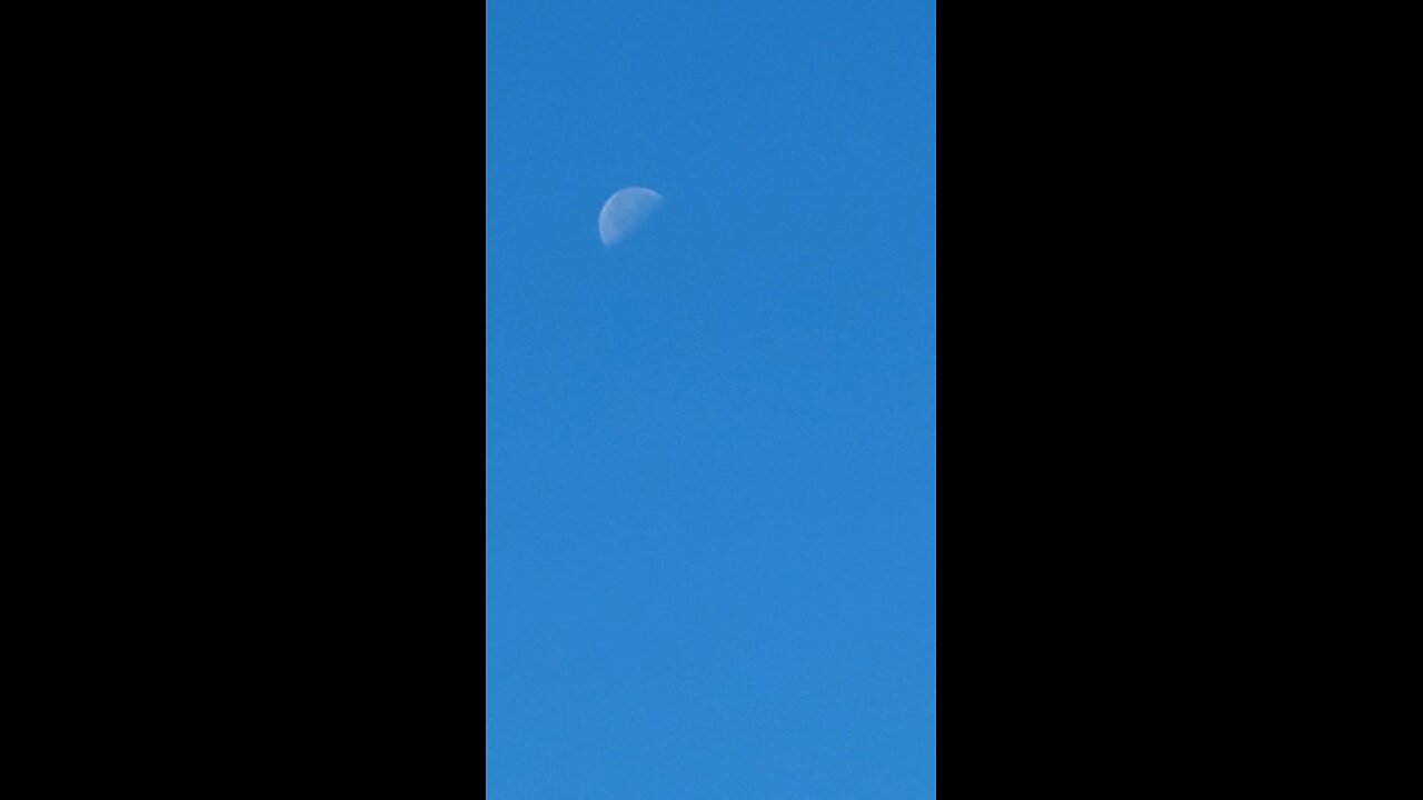 sunny and moon together