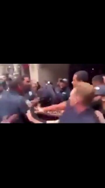 THE NYC ZOO LET OUT 🔥