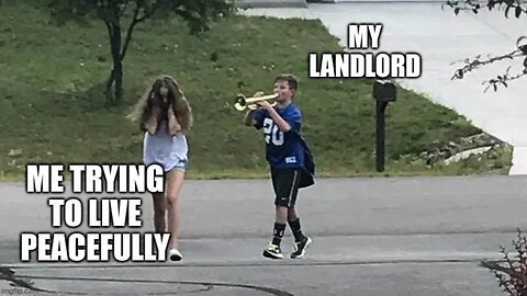 Coyote Languish in the nightclub