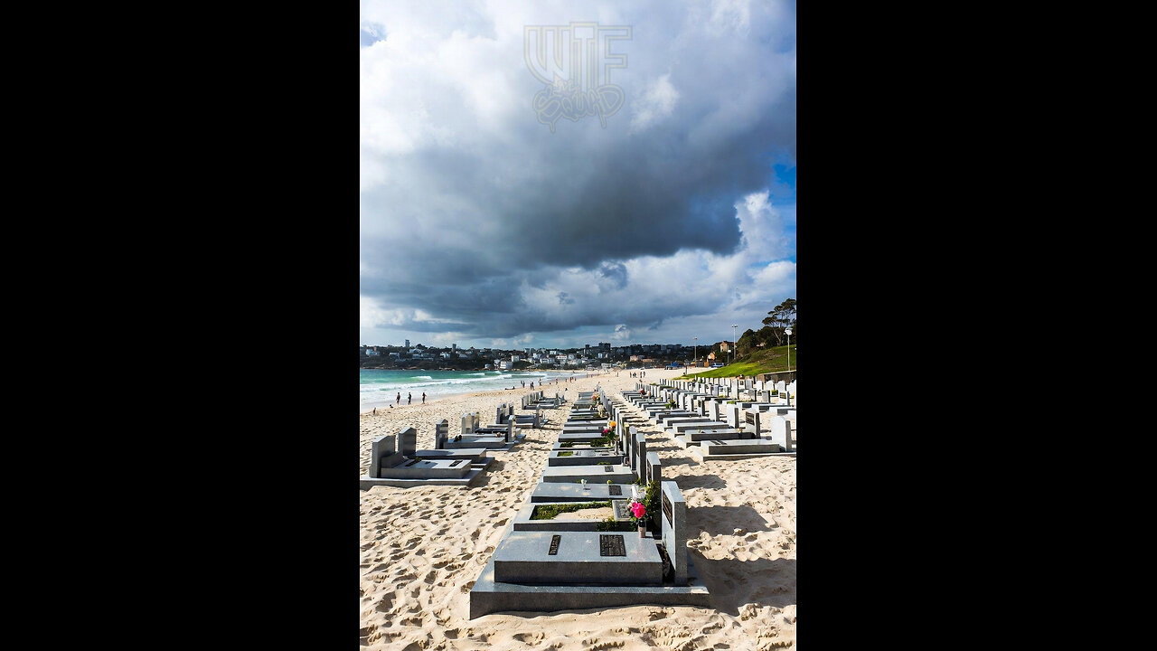 WTF LIVE 127 - LAST WTF FOR 2025