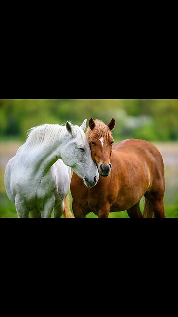 Meanwhile in China, EngeinAI's shorter humanoid PM01 is roaming public spaces.