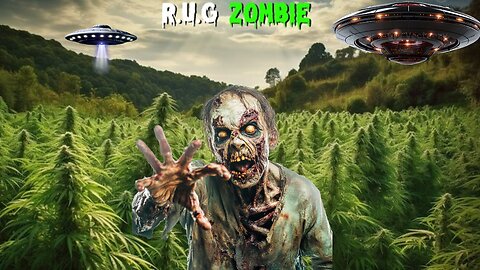 Smoke Sesh & 420 Memes & Fails