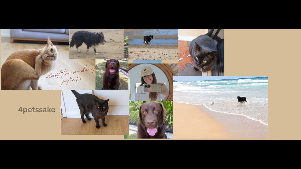 My business first two weeks of December