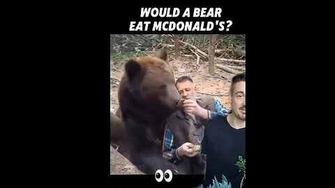 Would a bear eat a McDonalds ''hamburger''? Bear in mind Bears would eat almost anything!