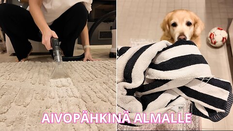 TEKSTIILIPESURI HOMMIIN 🫧 | Olohuoneen matto ennen ja jälkeen