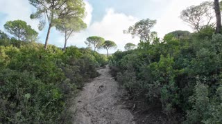 Caminhada/Trekking na MSul até a um dos topos da Serra da Arrabida 10 Nov 2025 Pt 1