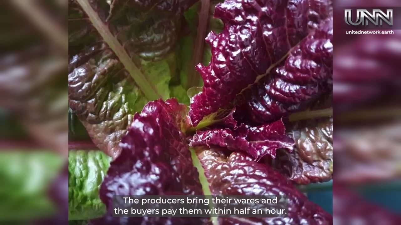 Karin’s Reko Ring: fresh food, local vibes, happy community!