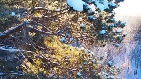 Work Rage Lofi – Maximum Productivity