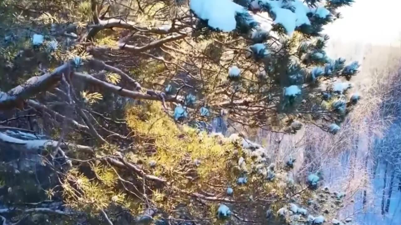 Work Rage Lofi – Maximum Productivity