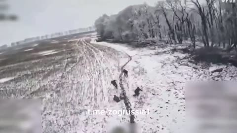 War in ukraine