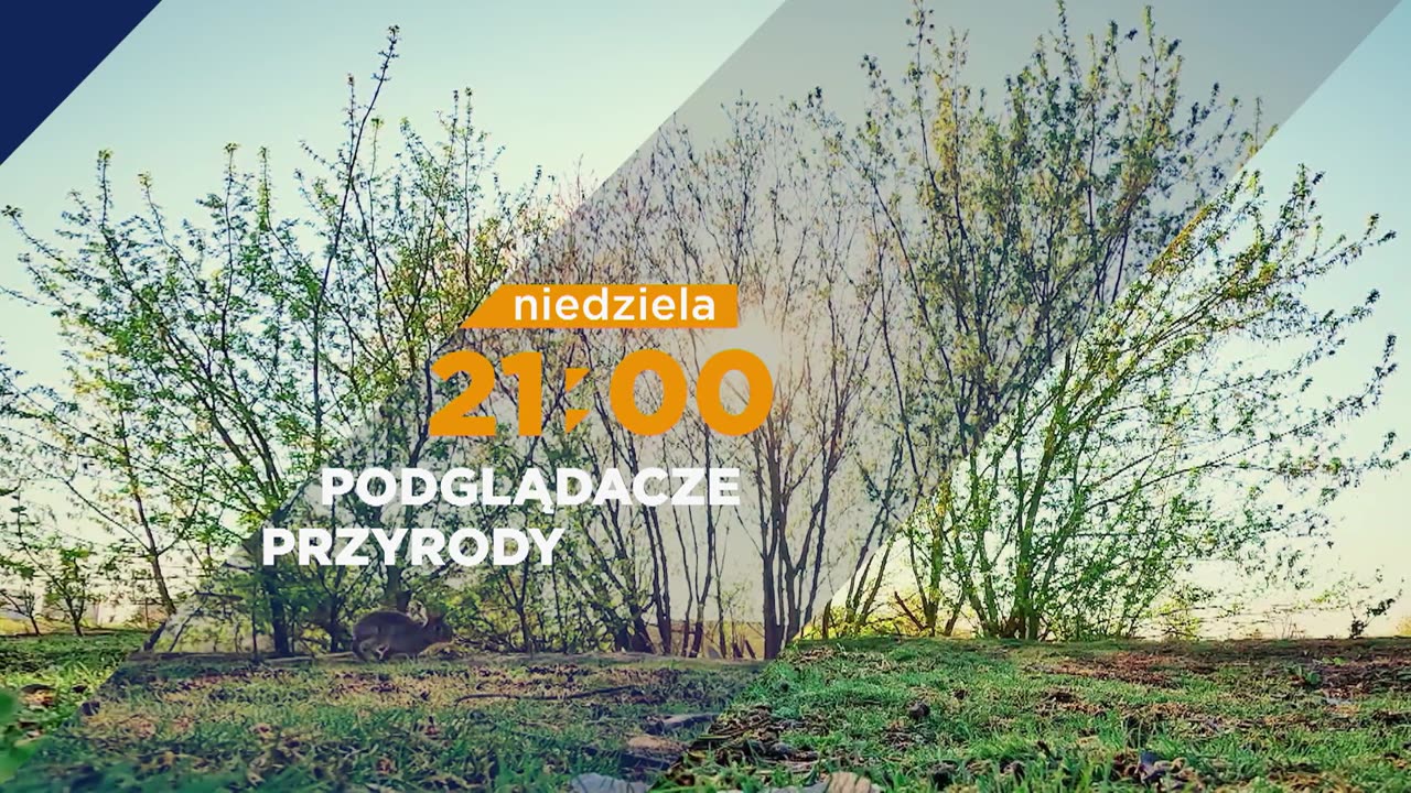 Trzeci sezon obserwacji zwierząt w hicie „Podglądacze przyrody” w Fokus TV
