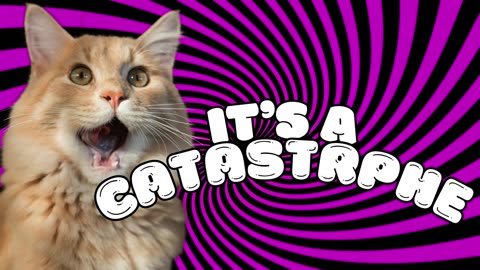 It's A CATastrphe! (Please Follow!)