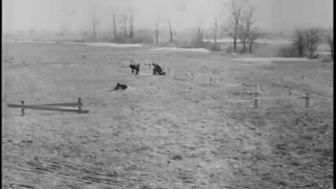 Henry Ford Camping Pa... - Henry Ford Camping Party Ford Patriotic Rally Testing Milita - fc-fc-2569