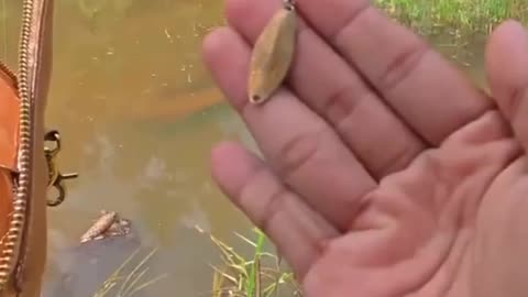 Big Fish Hiding Under the Small Bridge! Creek Fishing Fun