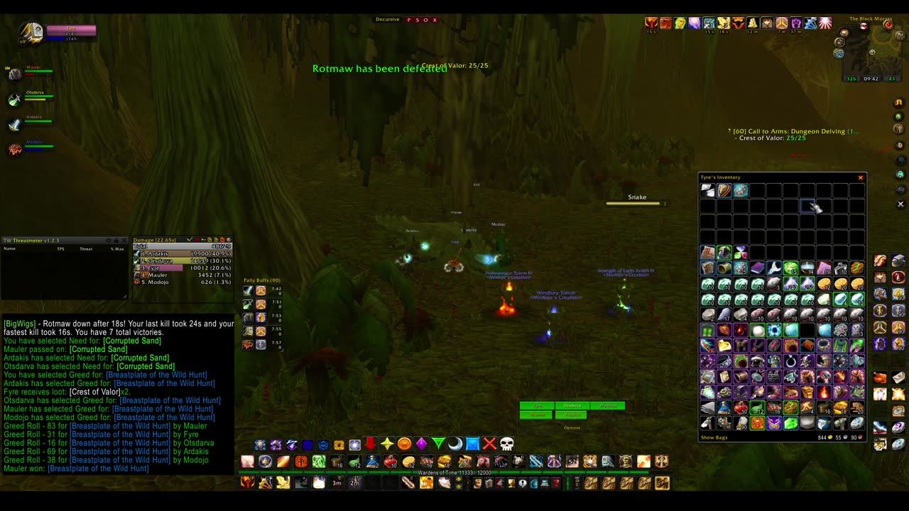 Turtle wow - PUG Black Moras custom dungeon - Paladin POV - no commentary