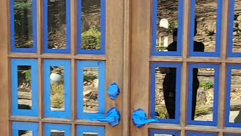 Lets paint the french doors