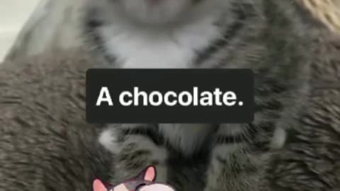 This is impressive ❤️❤️❤️❤️❤️💕