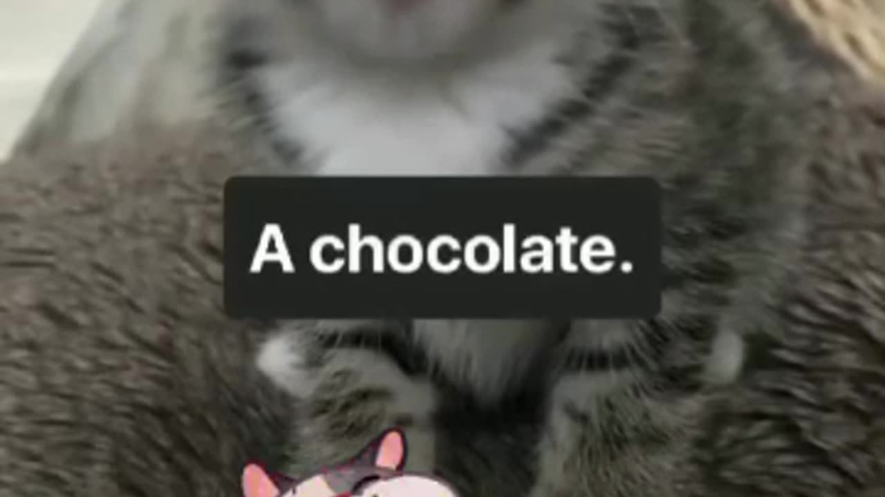 This is impressive ❤️❤️❤️❤️❤️💕