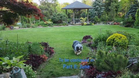 Garden Strolls Through the Seasons Part I: Feb-May