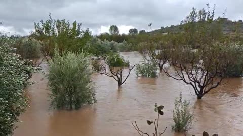 Përroi i Glinës del nga shtrati, reshjet e shumta rrezikojnë përmbytjen e 1/3 së Vaut të Dejës