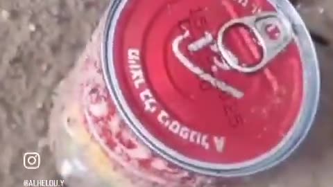 Displaced Palestinians who returned to Rafah Reportedly Found Booby-Trapped Food Cans...