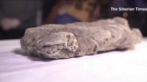 Scientists To Clone Prehistoric Giant Cave Lion