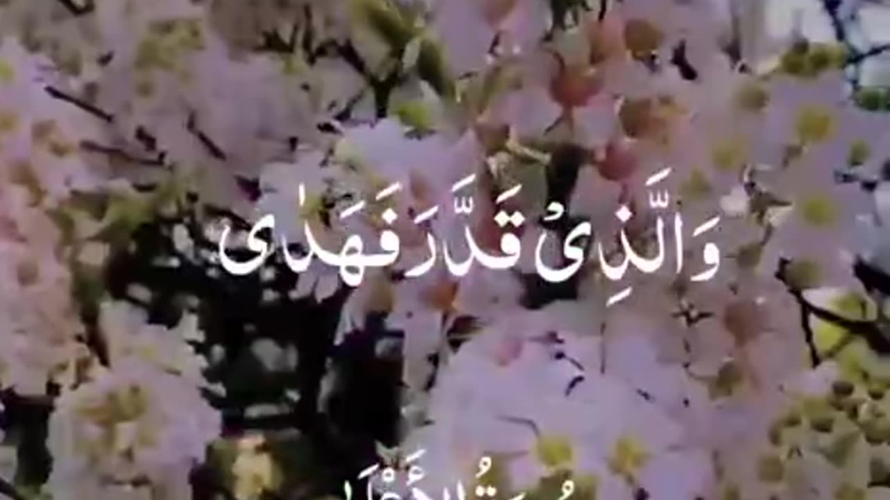 Beshak 💯