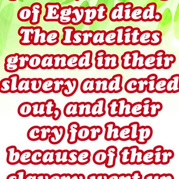 "Israel's Cry for Deliverance" Exodus 2:23 #shorts #youtubeshorts #jesus #ytshorts #shortvid #yt
