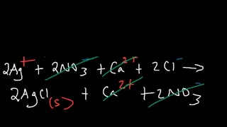 Precipitation Reactions and Net Ionic Equations - Chemistry