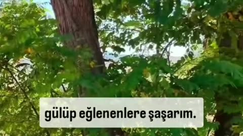 Günün sözü