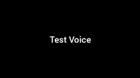 Test Voice for Stories