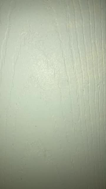 Daycare fraud in Minnesota