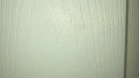 Daycare fraud in Minnesota