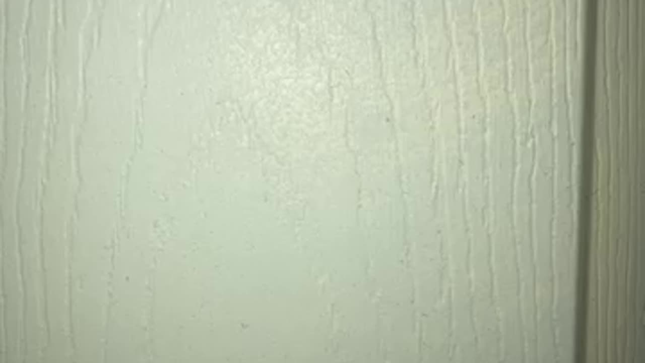 Daycare fraud in Minnesota