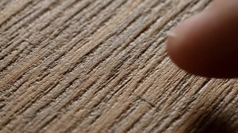 Inside the World’s Largest Gold Trading Hub