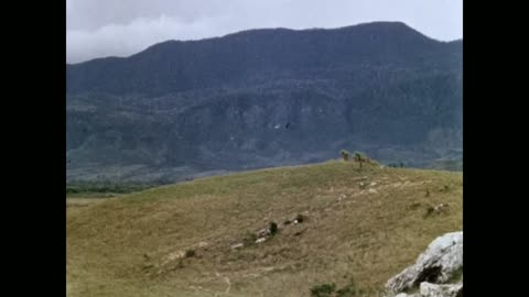 West Papua Tribal War (Original Footage 1963)