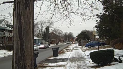 GLENDALE ST 4 TIM,,,THESHEASHOW.COM.AVI