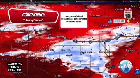 🌨️ Heavy Snowfall: Central Kansas Tuesday Morning! 2/18/25 #shorts #weather