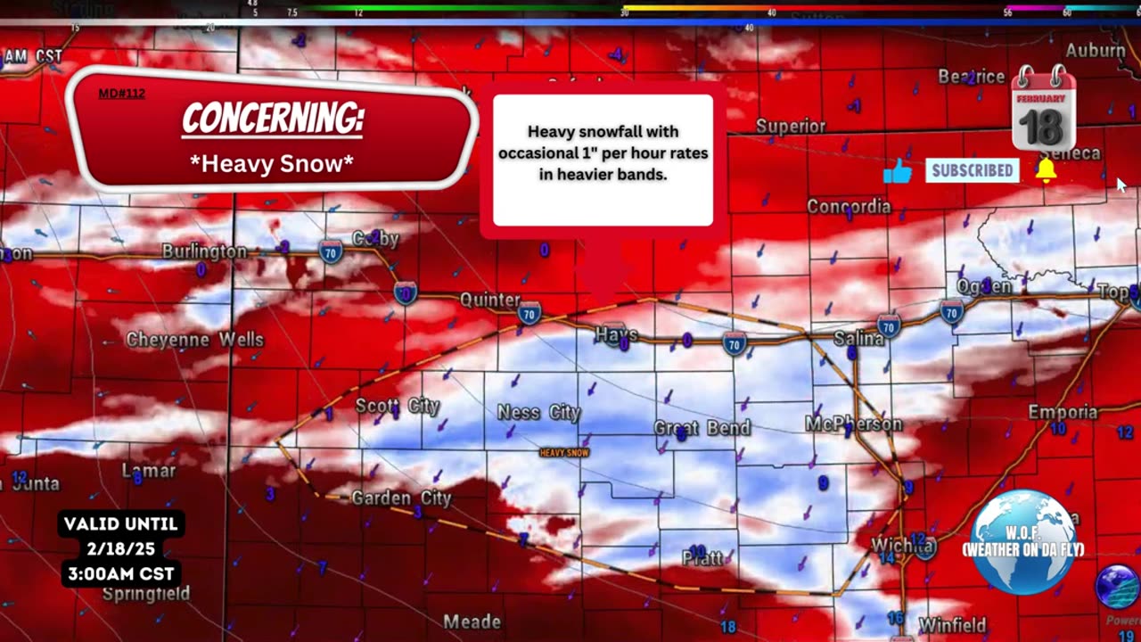 🌨️ Heavy Snowfall: Central Kansas Tuesday Morning! 2/18/25 #shorts #weather