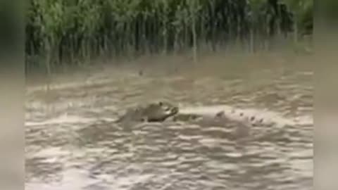 😱👽 What Is That Creature? Watch Till The End... | TheHauntingHour