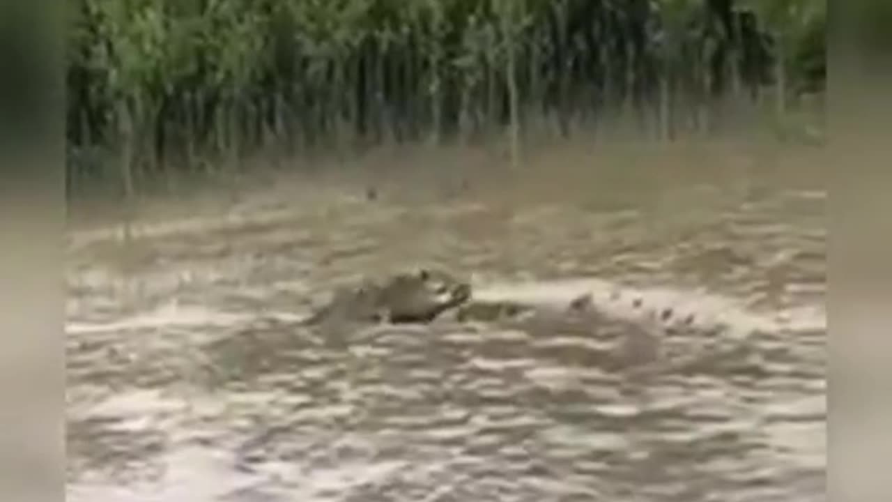 😱👽 What Is That Creature? Watch Till The End... | TheHauntingHour