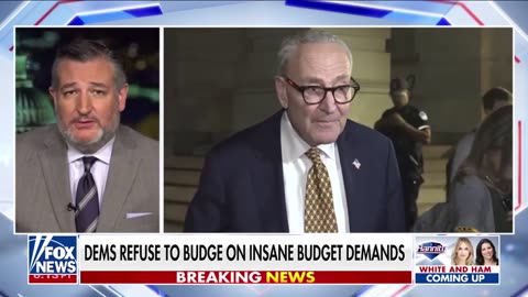 Sen Ted Cruz: George Soros Is Funding No Kings Rallies