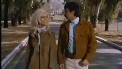 NANCY SINATRA & LEE HAZLEWOOD - SUMMER WINE