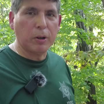 Escaping the Catholic Church and My Journey To Freedom.