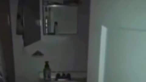 😨👻 You Won't Believe What They Caught on Camera! | TheHauntingHour