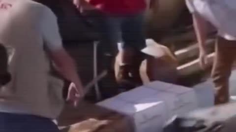 Mike Benz exposes U2 singer Bono