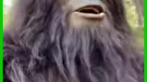 🤔Think About It🤔